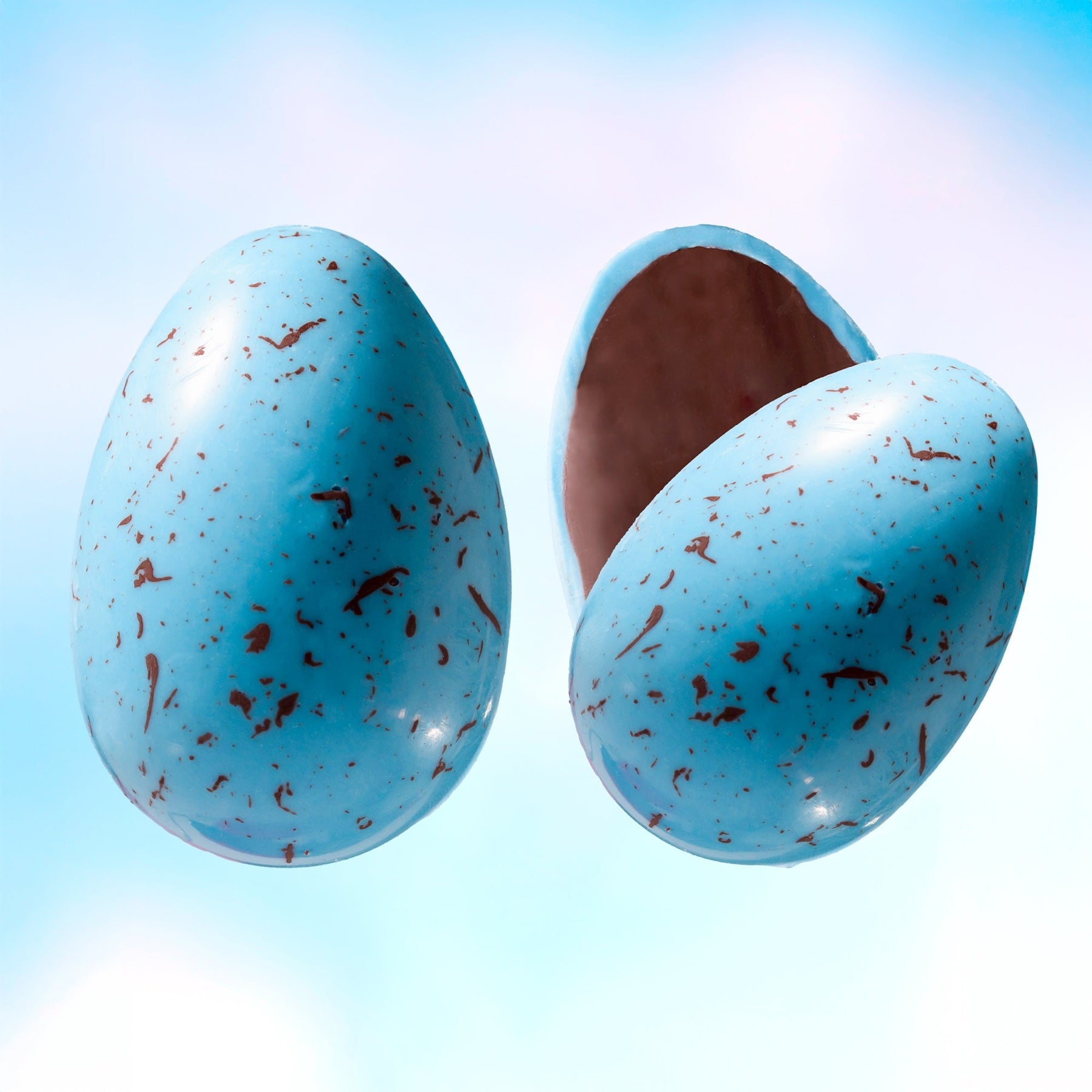 Robin's Egg - Zesty Workshop Egg Assortment